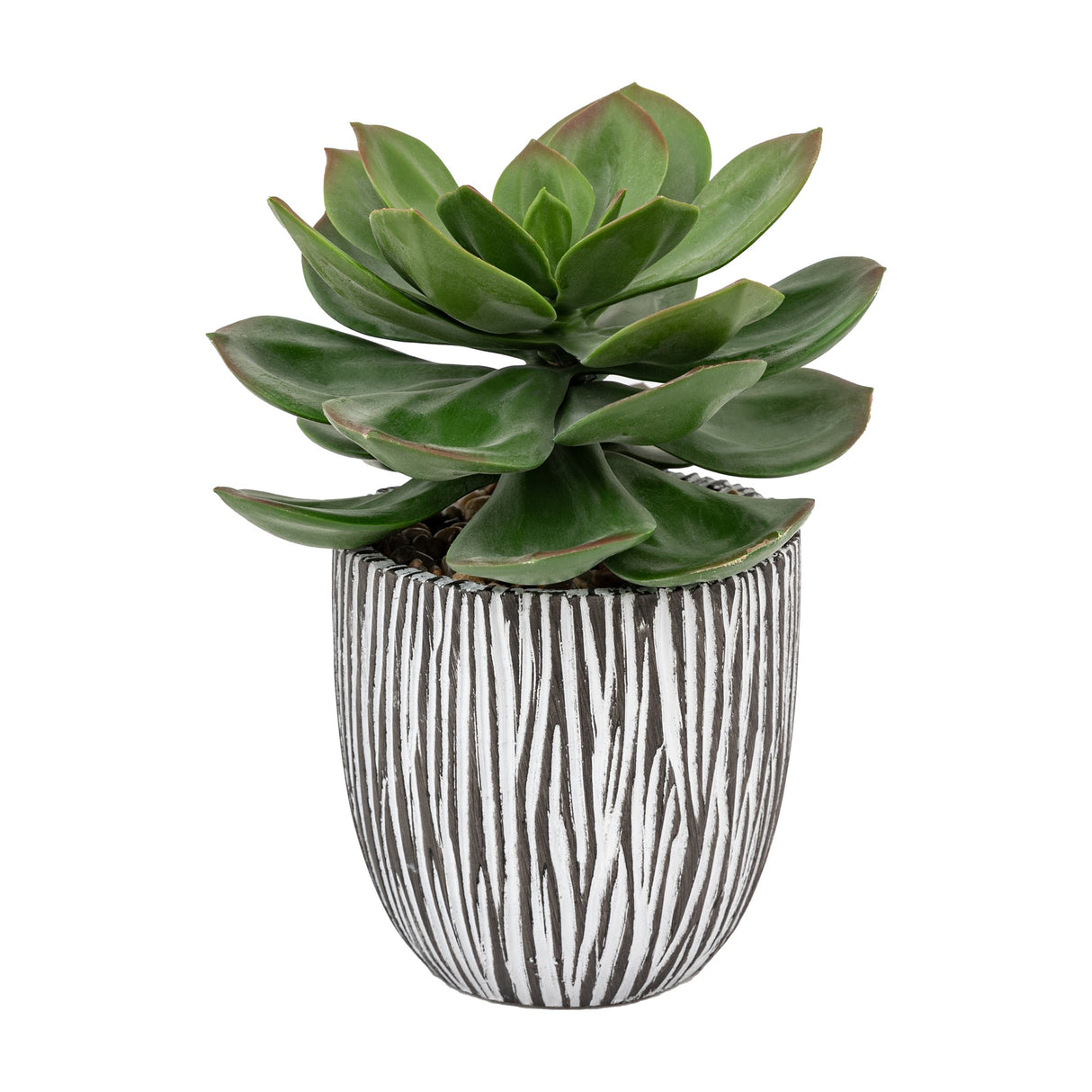 Artificial Potted Succulent in Ribbed Ceramic Pot – Green