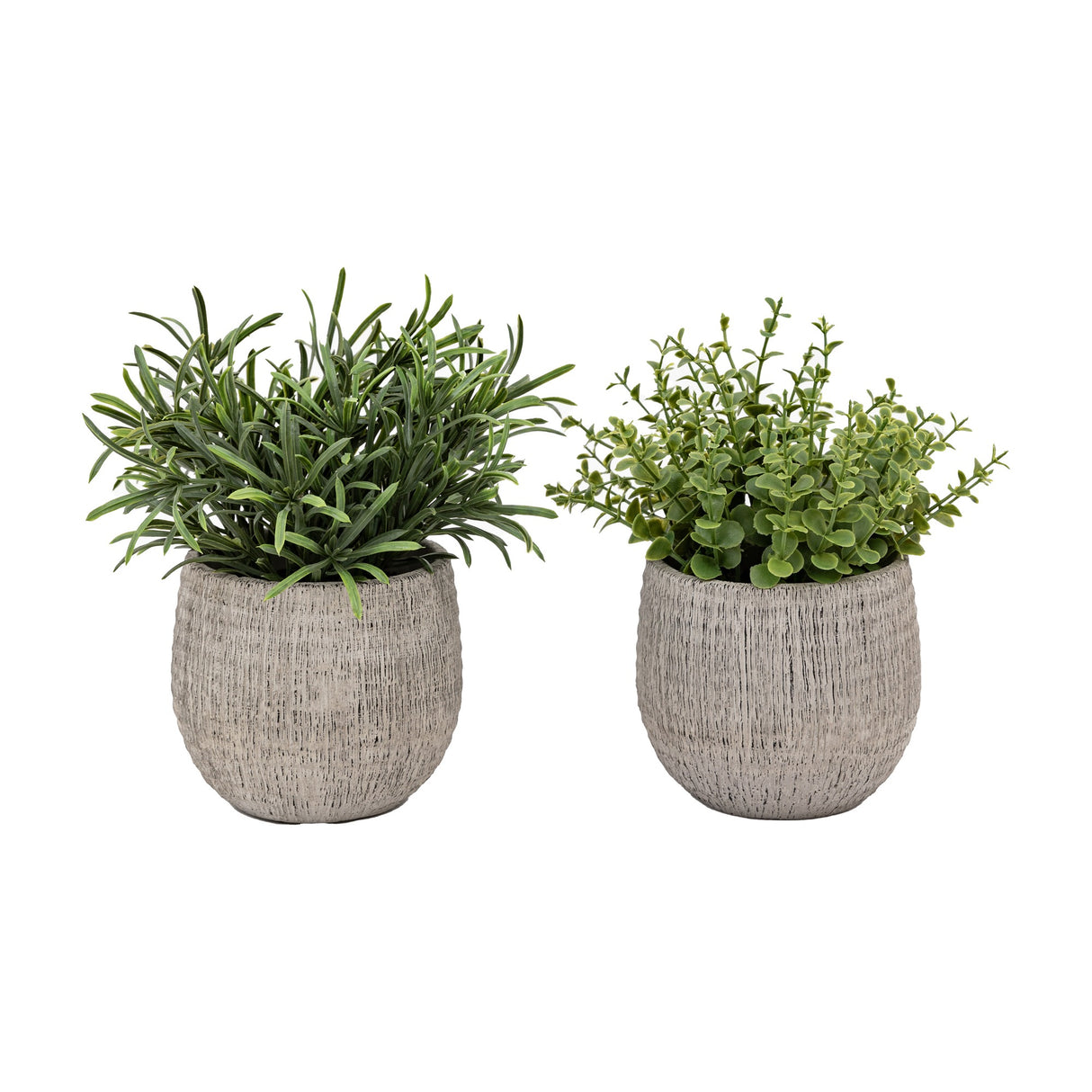 Artificial Herb Plants in Scratch-Textured Ceramic Pots Set of 2 – Green