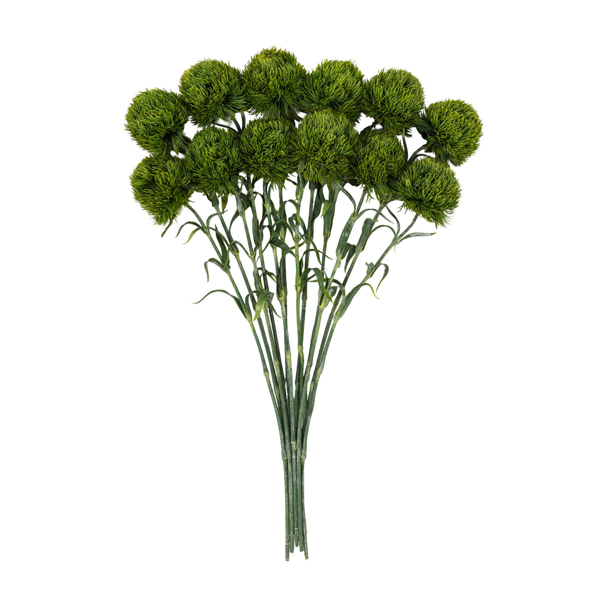 Artificial Statement Bloom Stems Set of 12 – Green