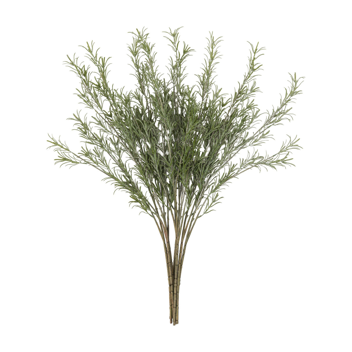 Artificial Rosemary Stems Set of 12 – Green