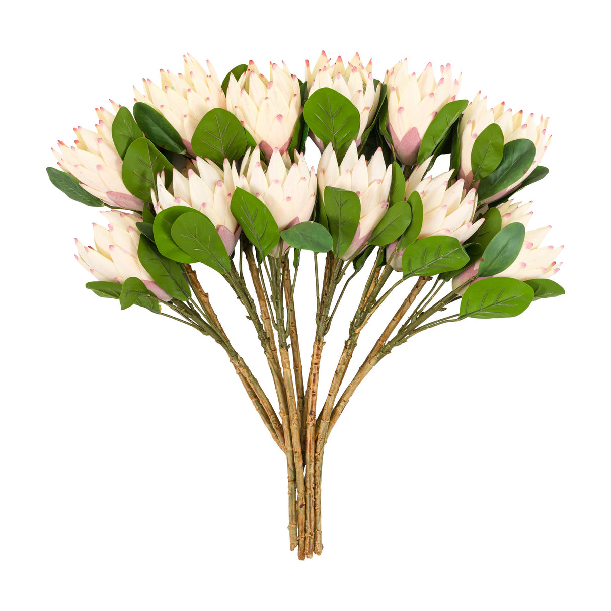 Artificial Protea Bunch Faux Stems Set of 12