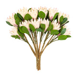 Artificial Protea Bunch Faux Stems Set of 12