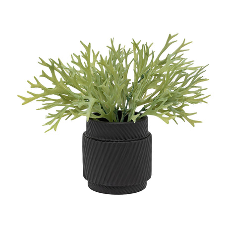 Artificial Staghorn Fern in Ribbed Ceramic Pot – Sage Green