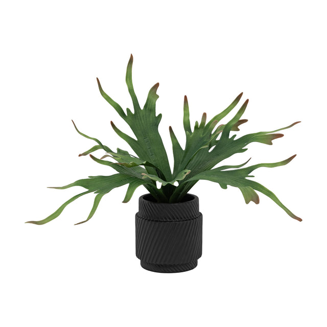 Artificial Staghorn Fern in Ceramic Pot – Green