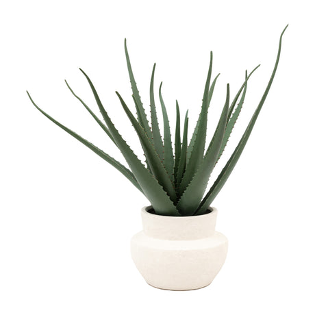 Artificial Aloe Vera in Ceramic Pot – Green