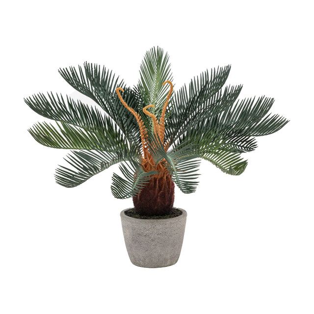 Artificial Wide Palm in Concrete Pot – Green