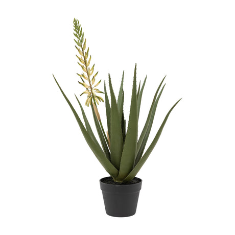 Artificial Aloe Potted Plant with Flower Spike – Green