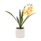 Artificial Orchid in White Ceramic Dot Pot