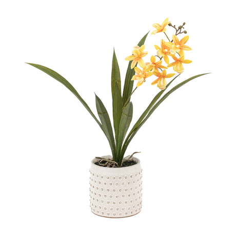 Artificial Orchid in White Ceramic Dot Pot