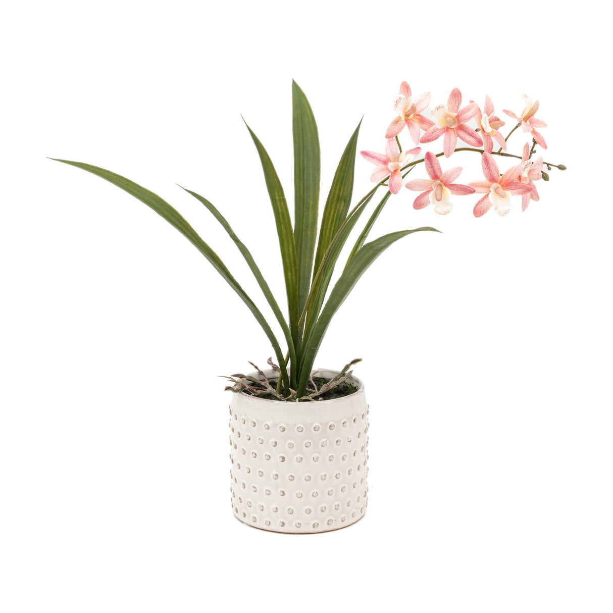 Artificial Orchid in White Ceramic Dot Pot