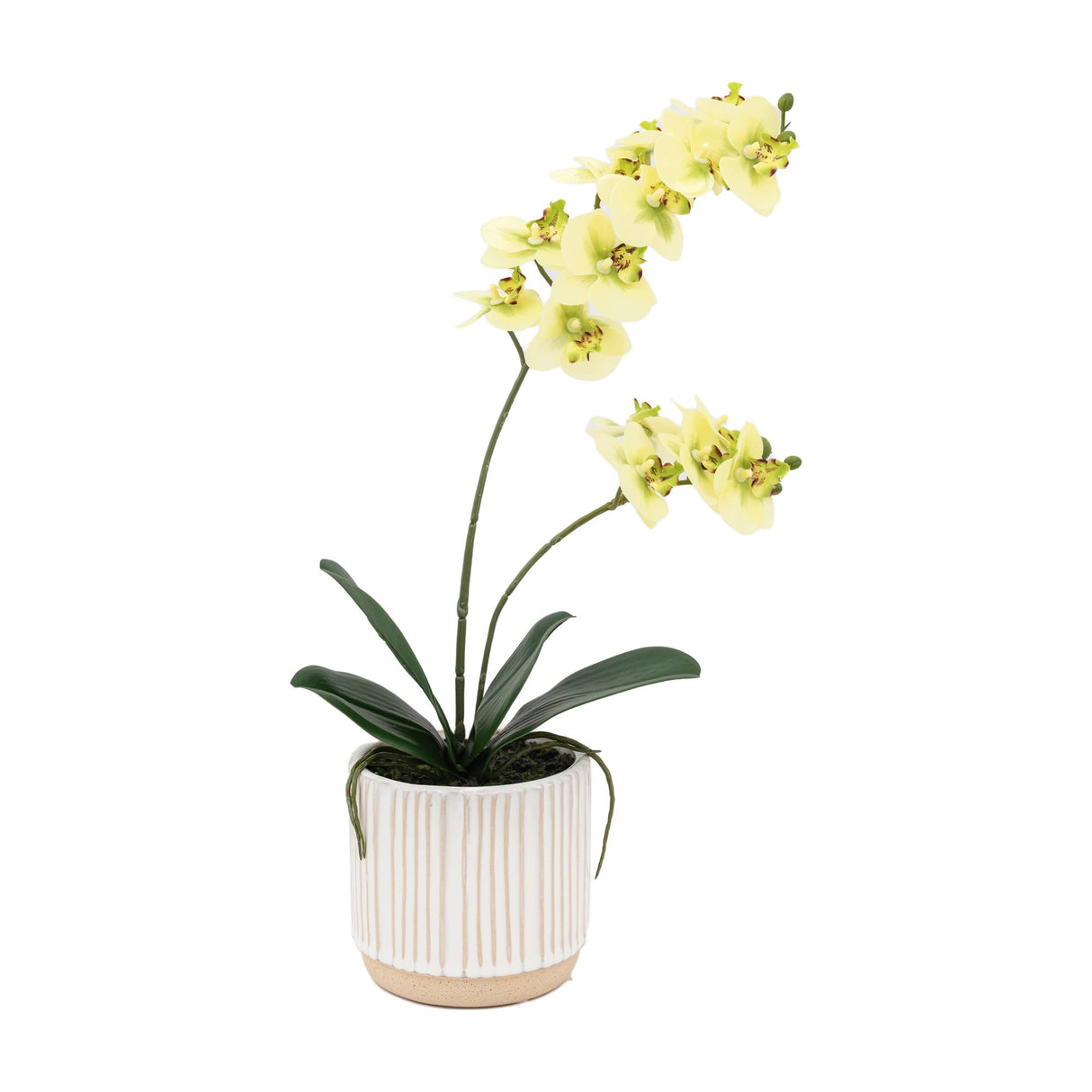 Artificial Orchid in Ribbed Ceramic Pot – Yellow