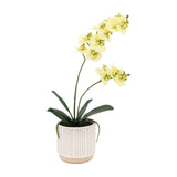 Artificial Orchid in Ribbed Ceramic Pot – Yellow