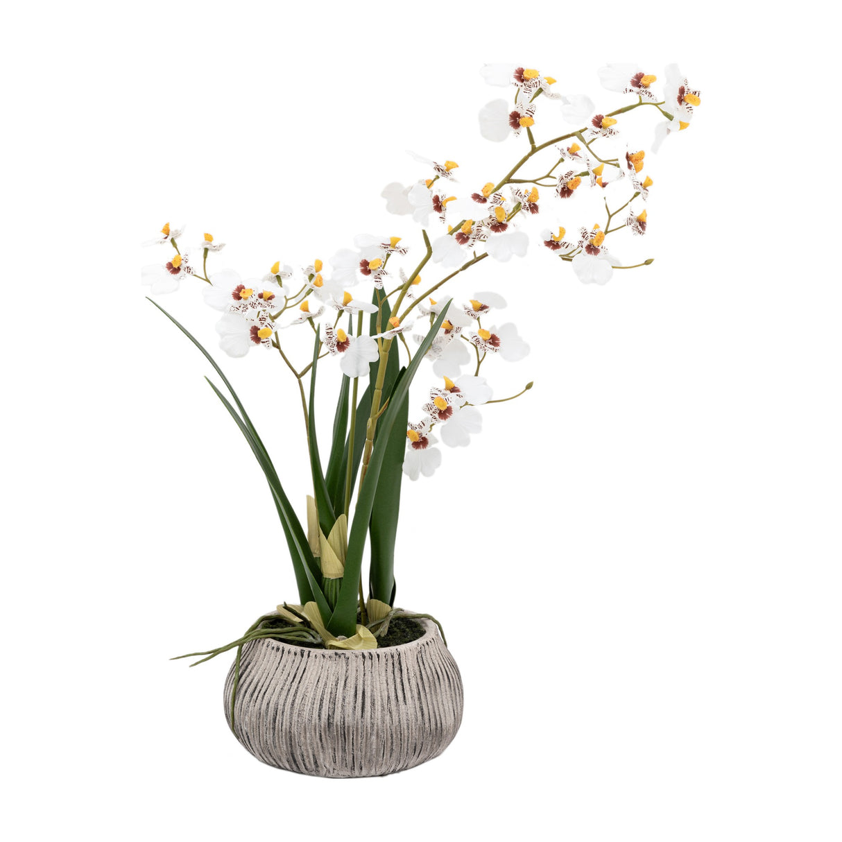 Artificial Oncidium Orchid in Ribbed Ceramic Pot