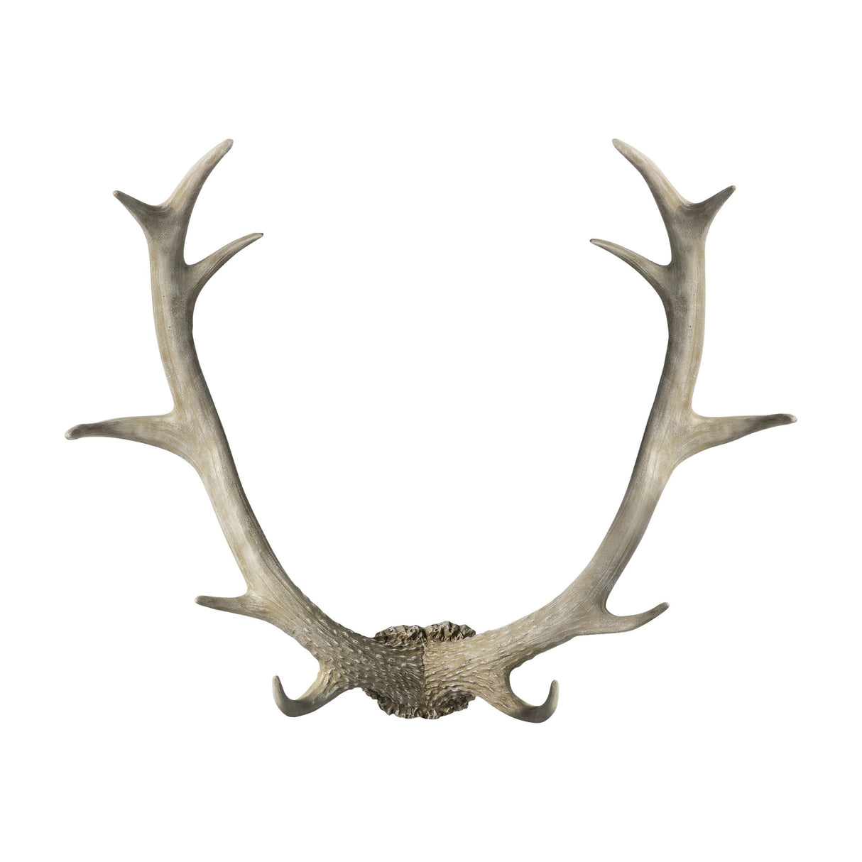 Bjorn Antler Wall Art – Whitewash