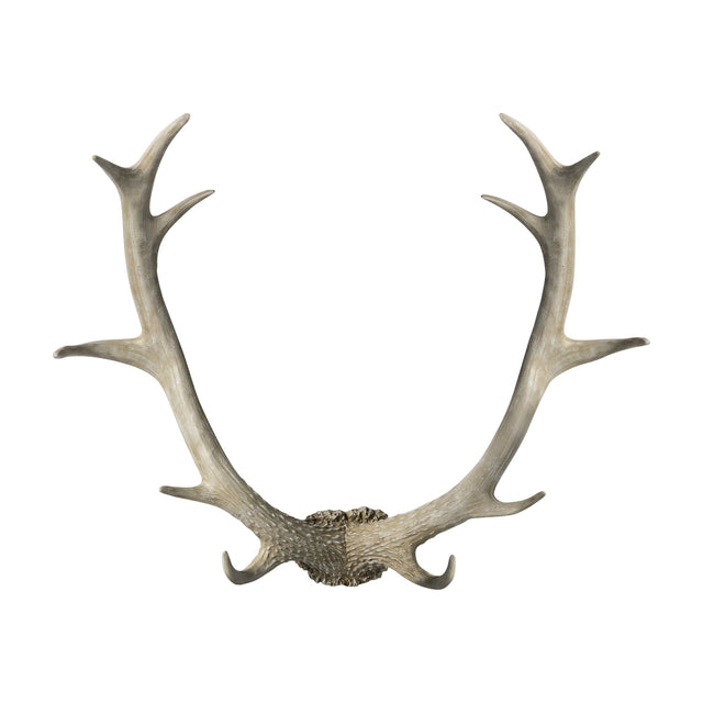 Bjorn Antler Wall Art – Whitewash