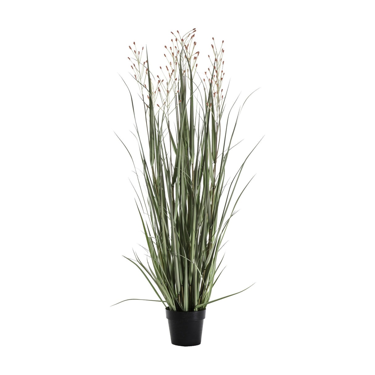 Artificial Potted Grass with 7 Seed Heads – Green