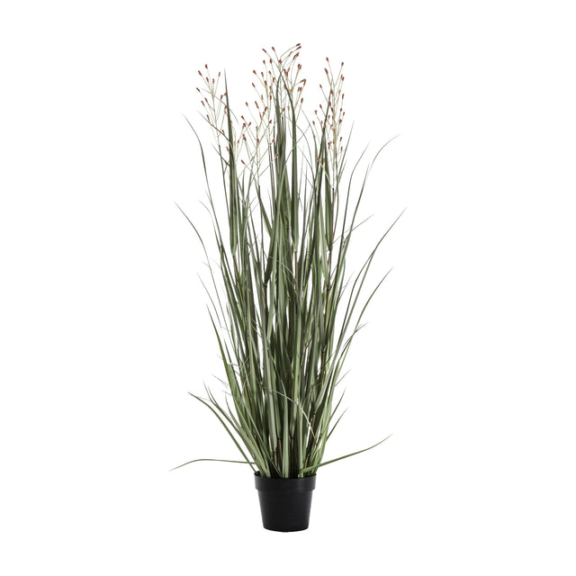 Artificial Potted Grass with 7 Seed Heads – Green