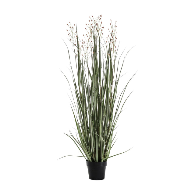 Artificial Potted Grass with 9 Flowering Heads – Green