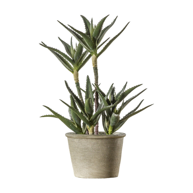 Artificial Potted Aloe Plant – Green