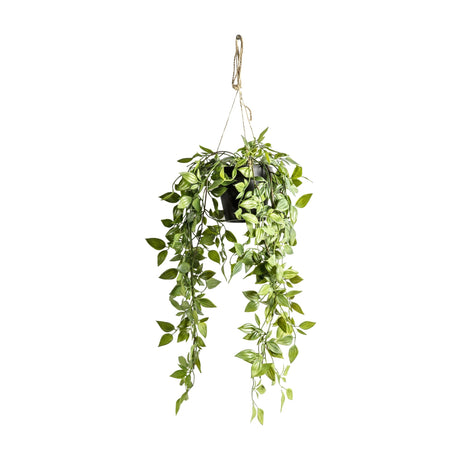 Artificial Hanging Scindapsus – Green