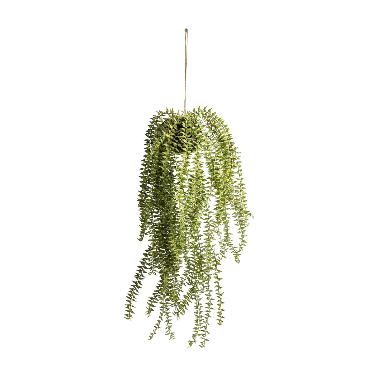 Artificial Hanging Cactus Horsetail – Green