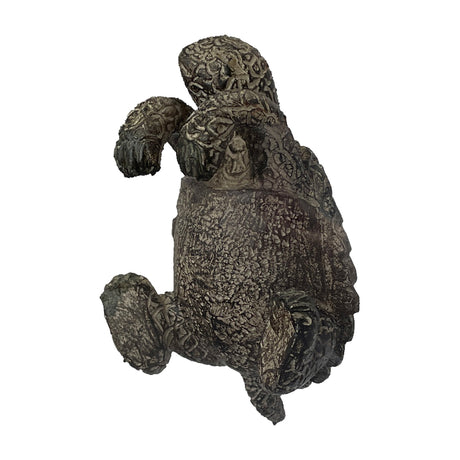 Gallery Direct Winvane tortoise pot hanger in polyresin with a weathered, textured natural grey-brown finish, shown from above on a plain background.