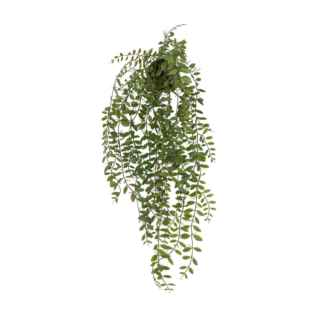 Artificial Trailing Fern in Soil – Green