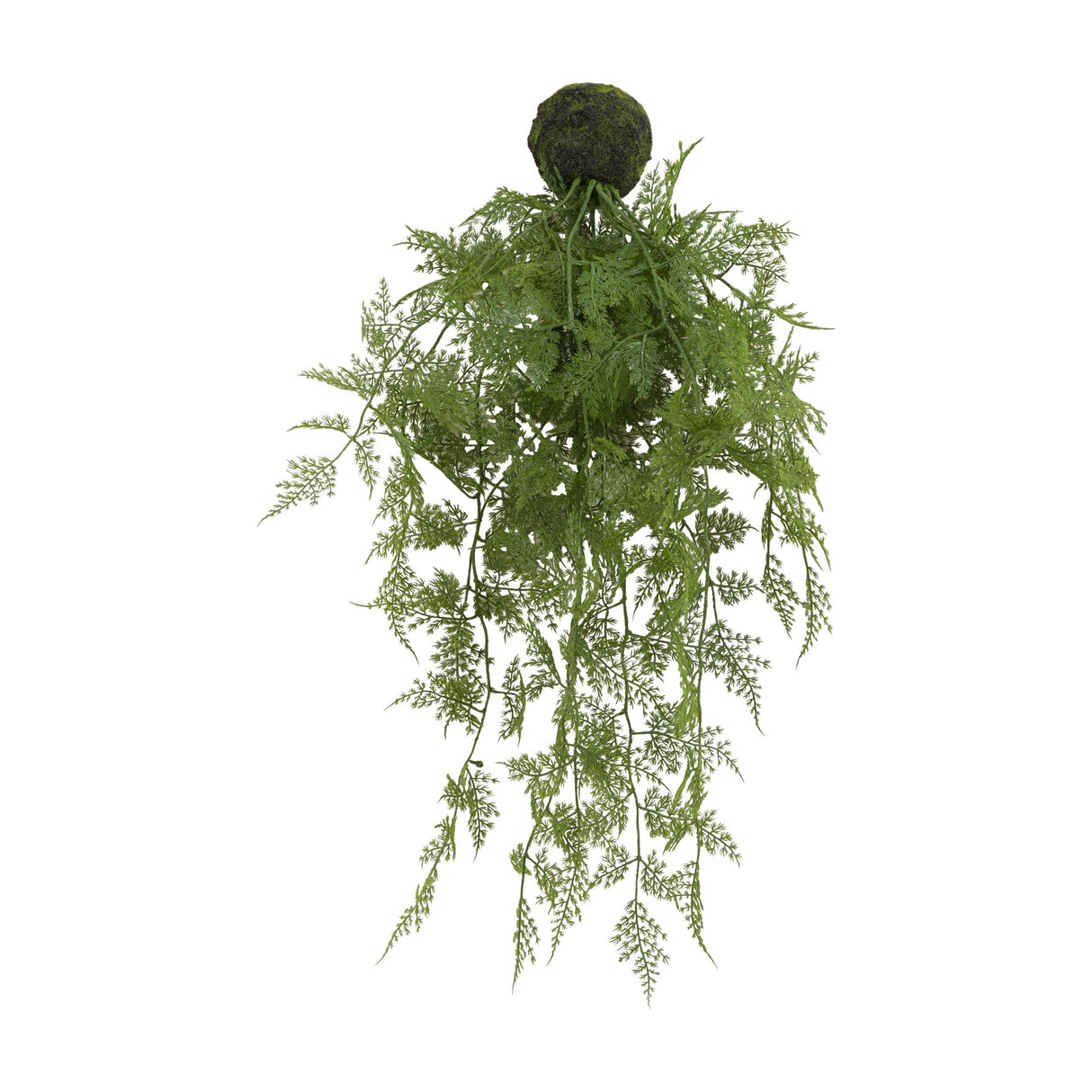 Artificial Trailing Wood Fern in Soil Ball – Green