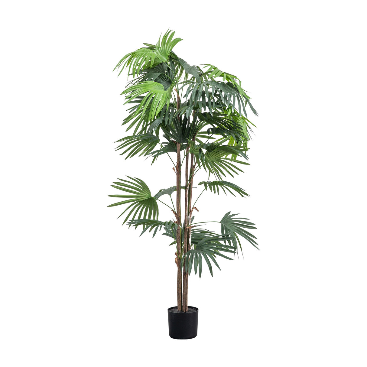 Artificial Chinese Fan Palm – Green