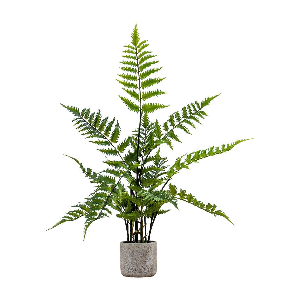 Artificial Fern – Green