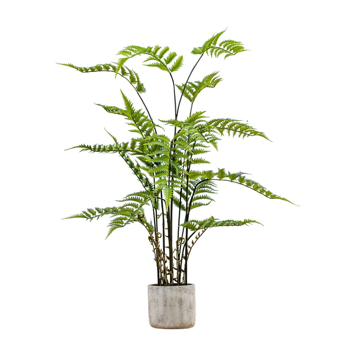 Artificial Potted Fern in Cement Pot – Green