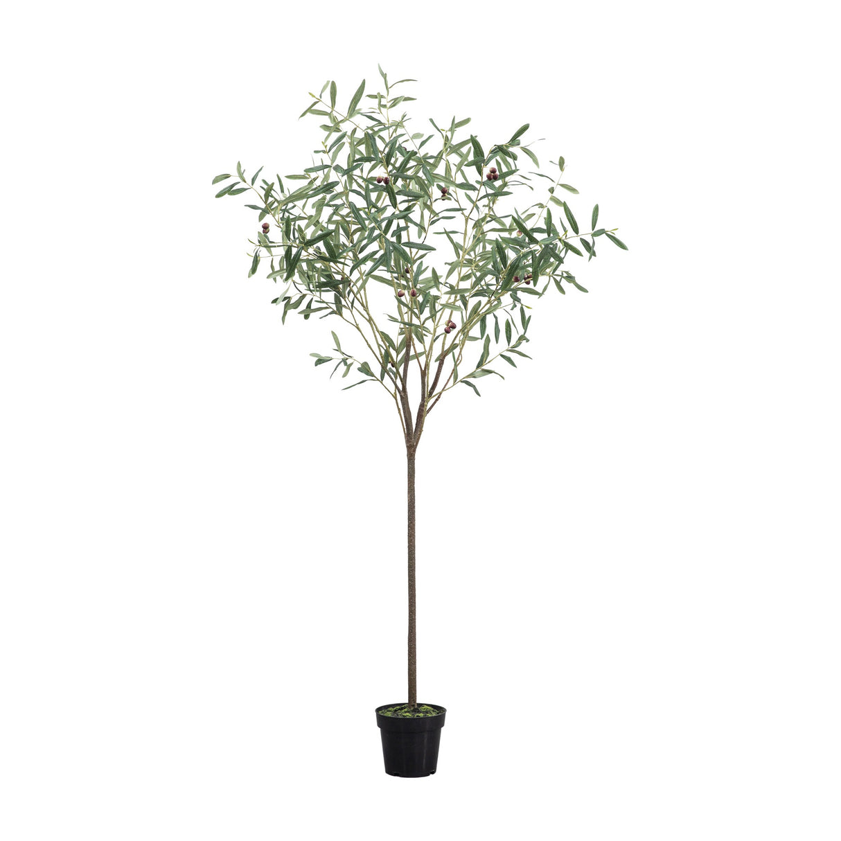 Artificial Olive Tree 172-202cm