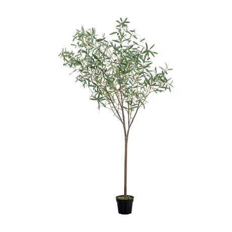 Artificial Olive Tree 172-202cm