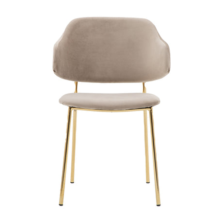 Whitehall Velvet Dining Chair Set of 2 – Taupe