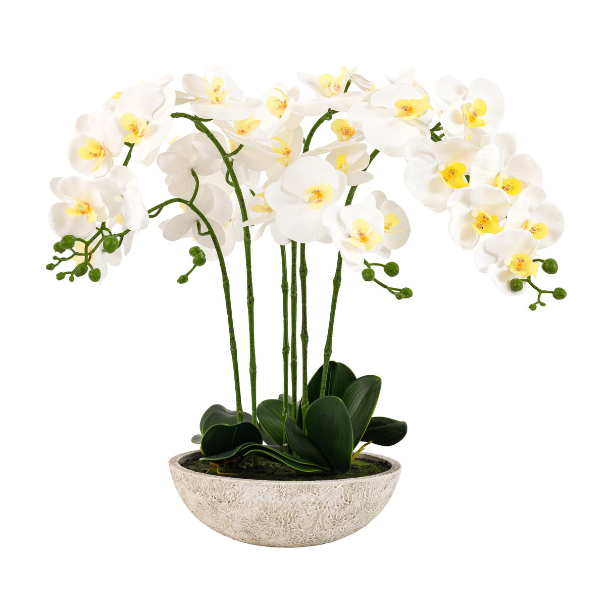 Artificial Oversized Orchid in Cement Pot – White