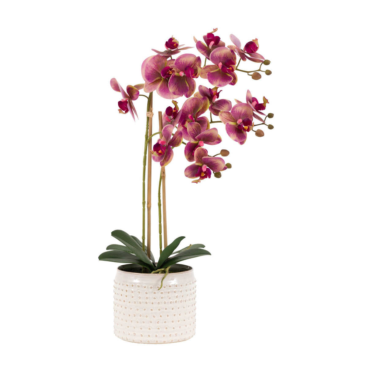 Artificial Orchid in Dotted Ceramic Pot