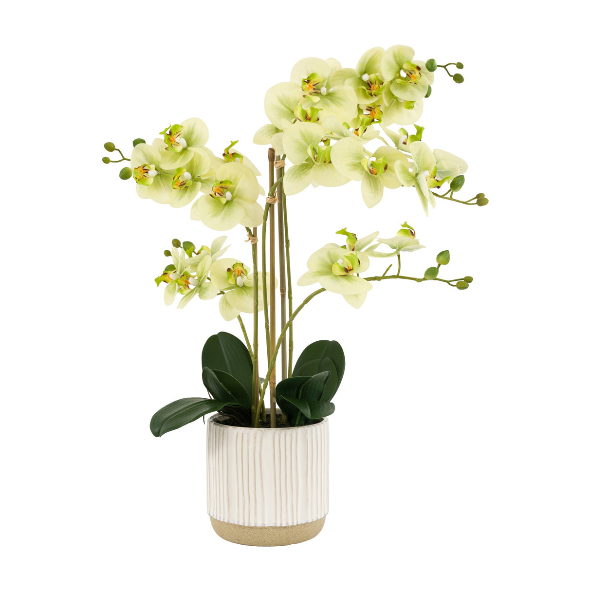 Artificial Orchid in Ribbed Ceramic Pot – Green