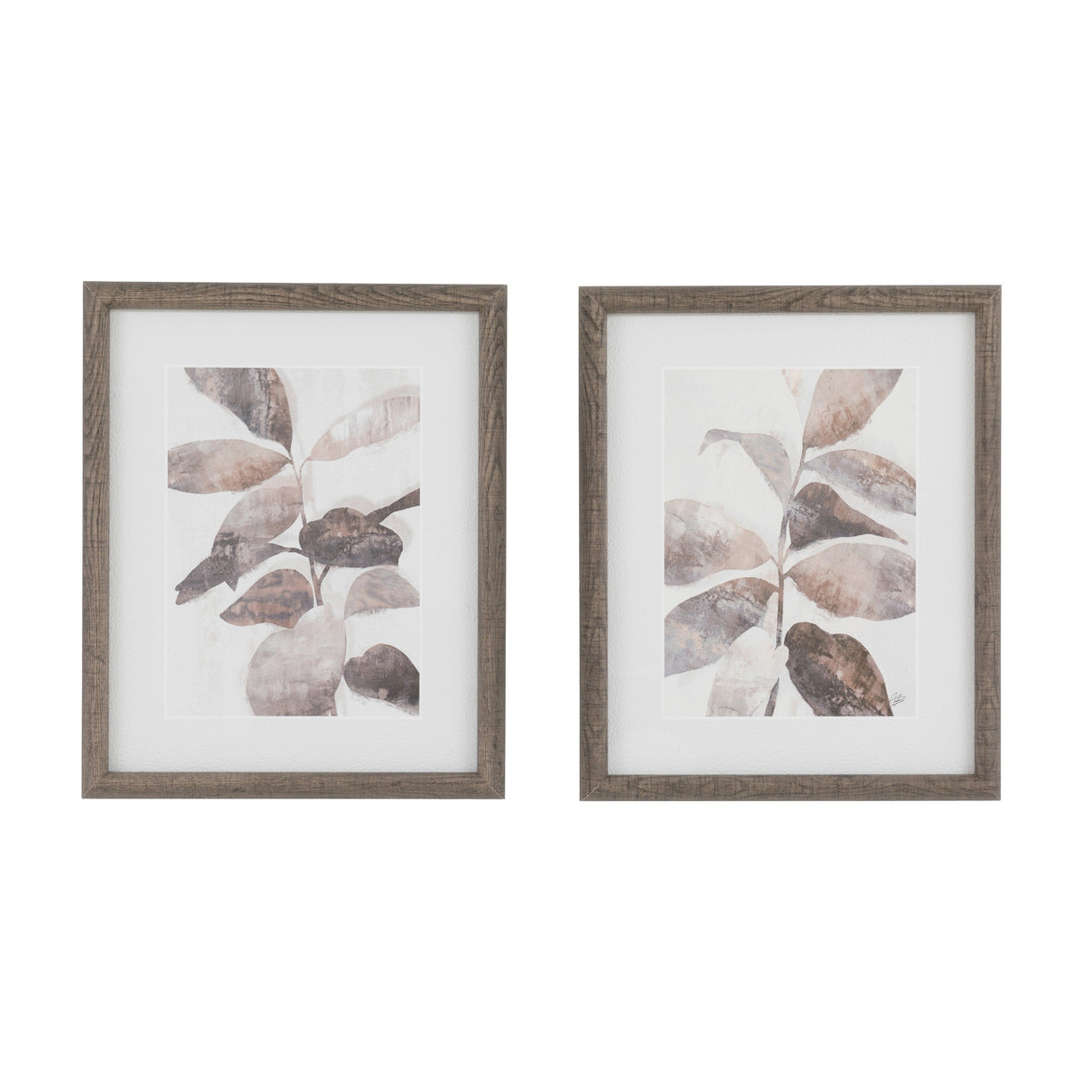 Natures Rhythm Botanical Framed Art Set of 2 – Brown