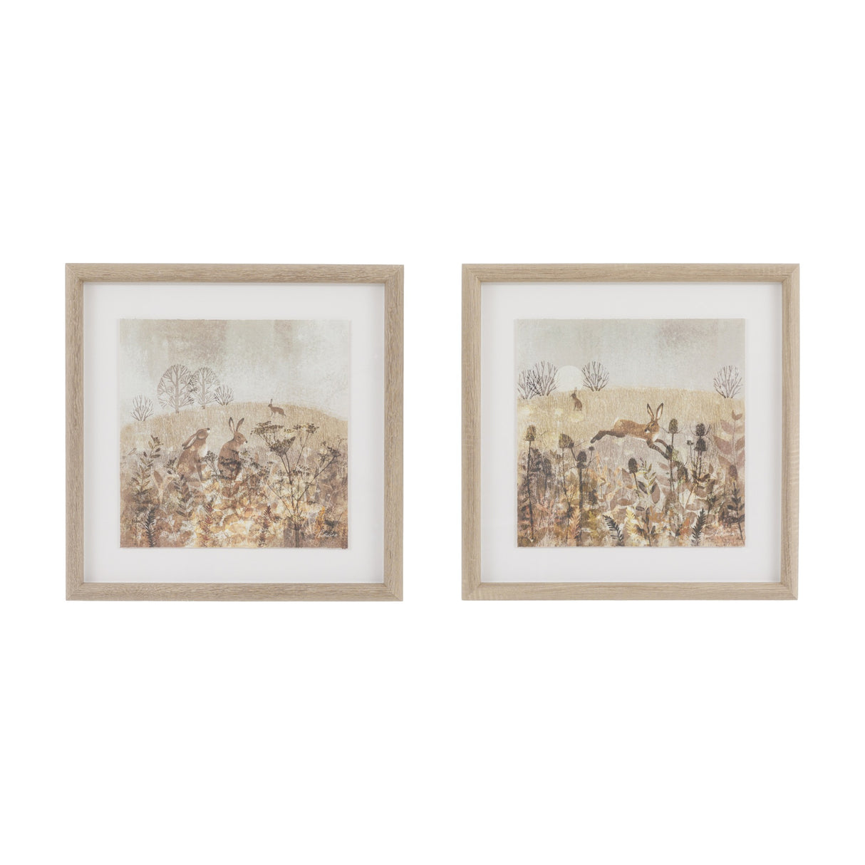 Meadow Mischief Framed Art Set of 2 – Brown