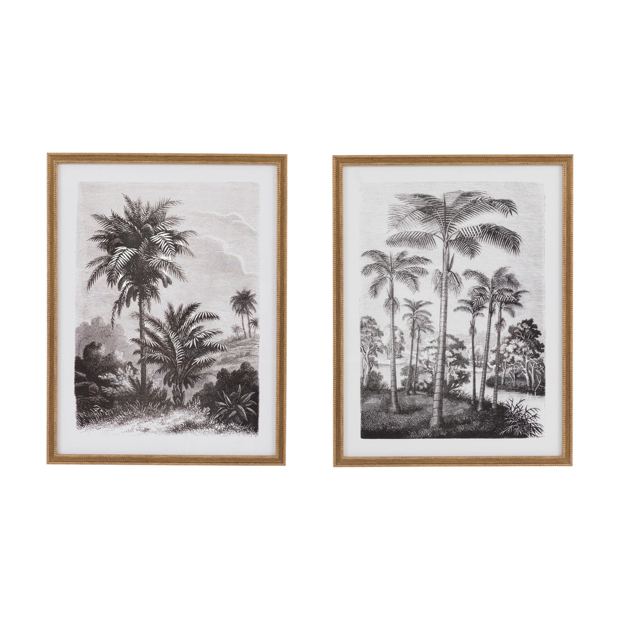 Colonial Sketches Framed Botanical Prints Set of 2 – Monochrome