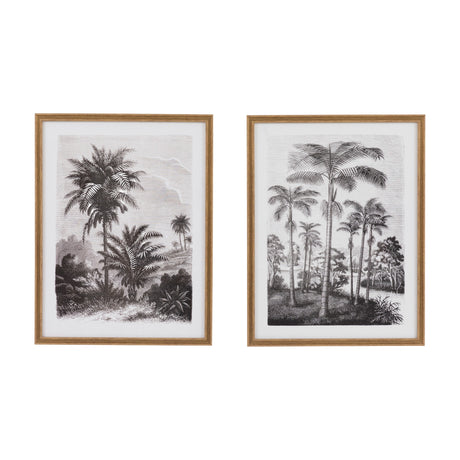 Colonial Sketches Framed Botanical Prints Set of 2 – Monochrome