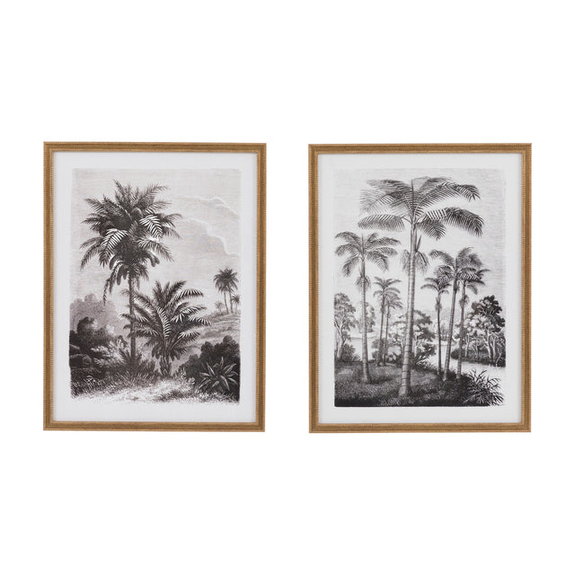 Colonial Sketches Framed Botanical Prints Set of 2 – Monochrome