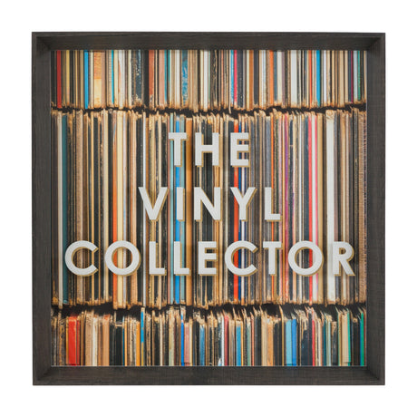 The Vinyl Collector Framed Art – Multicoloured