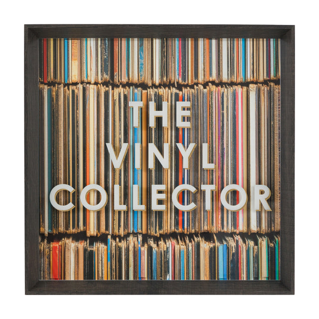 The Vinyl Collector Framed Art – Multicoloured