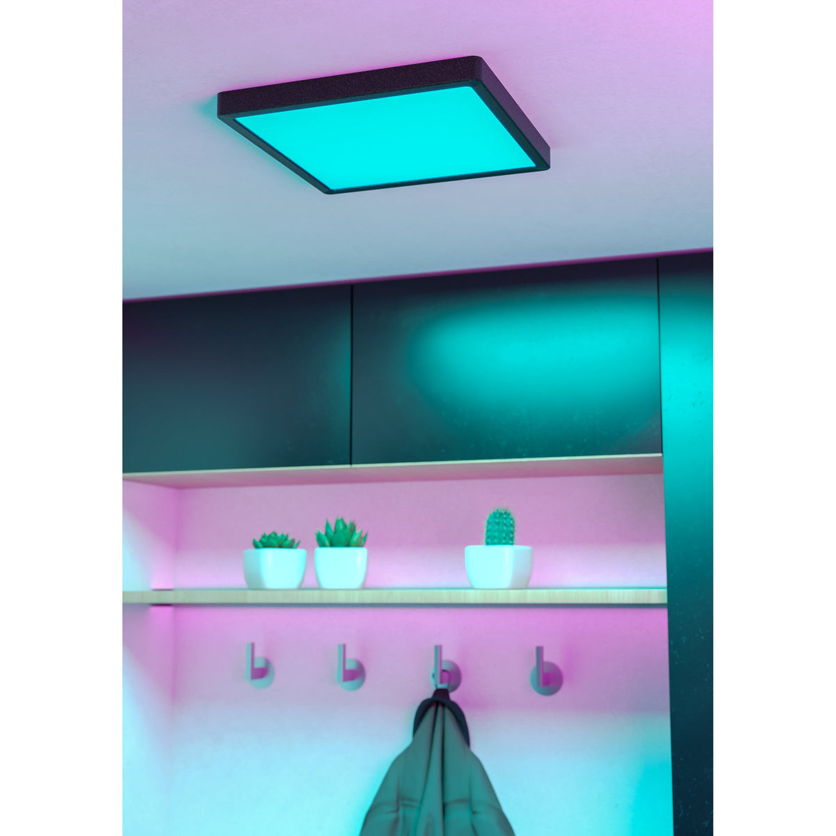 Gosmelle square LED downlight in black with glowing teal colour-changing light, mounted on a ceiling above a shelf with potted cacti in a styled hallway.