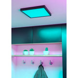Gosmelle square LED downlight in black with glowing teal colour-changing light, mounted on a ceiling above a shelf with potted cacti in a styled hallway.