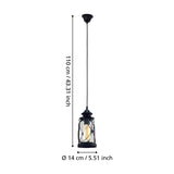 Grasmenne Clear Glass Pendant Light - Black