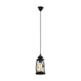 Grasmenne Clear Glass Pendant Light - Black
