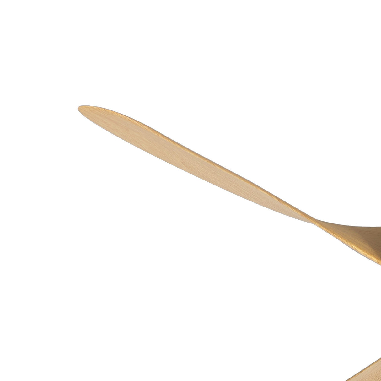 Groenland CCT Dimmable LED Ceiling Fan Light With Remote & APP Control - White/Brown