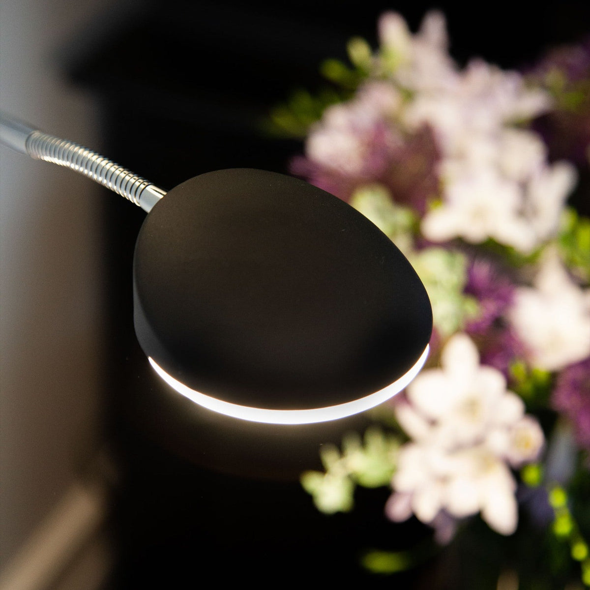 Vegas LED Combi Floor Lamp 20W in black, close-up of the oval reading head on a flexible chrome gooseneck arm, glowing edge visible against a blurred floral backdrop.